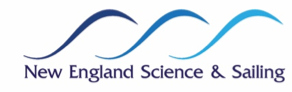 NESS Logo